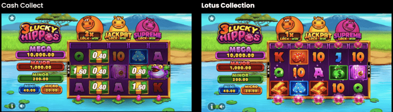 3 Lucky Hippos Cash Collector